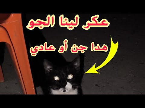 كنا مقصريد وداحكين ولكن هاد عكر لينا الجو