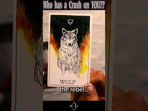 Pile 3 Who has a Crush on YOU? Pick a Card #tarot #pickacardreading