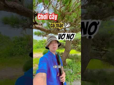 CHƠI CÂY BỊ VỠ NỢ