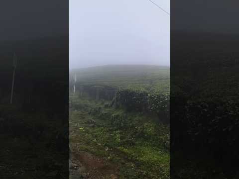 Vagamon: The Most Mysterious Place in India