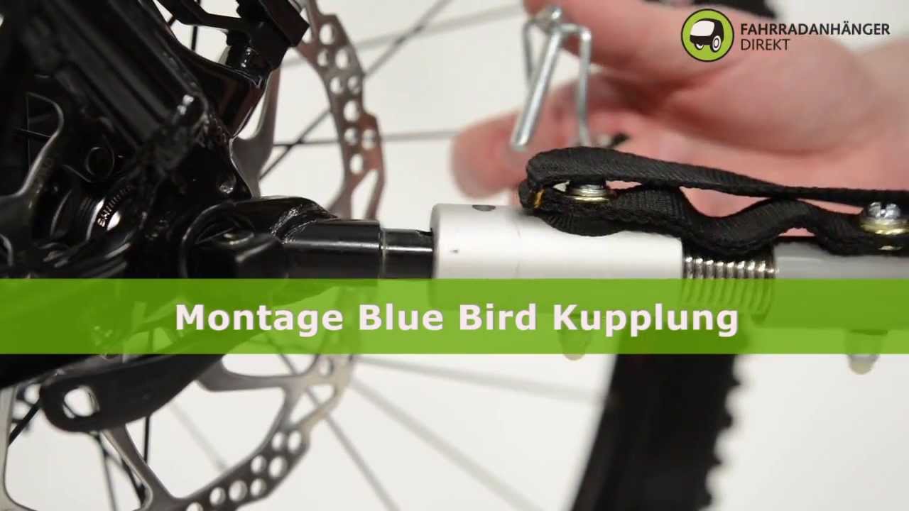 Montage Blue Bird Kupplung YouTube