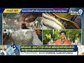 100 రోజుల్లో గంజాయిని భూస్థాపితం చేస్తాం | Ganja In AP | Tirupati | Prime9 News - 09:16 min - News - Video