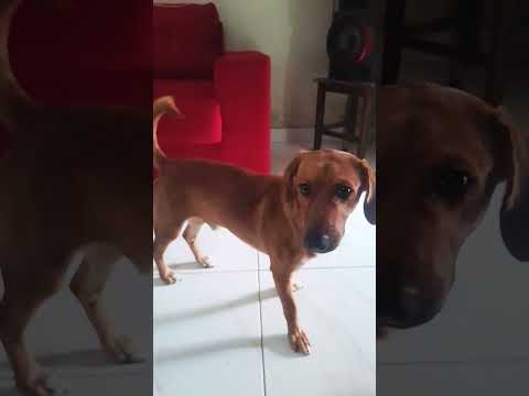 27 de outubro de 2025