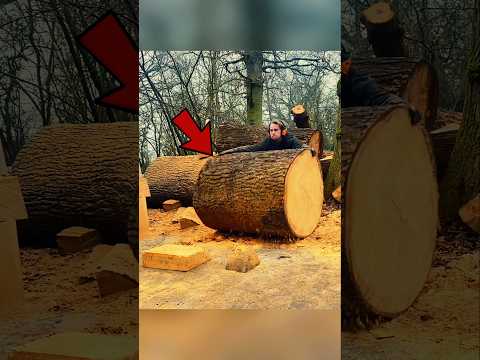 সবাই ভেবেছিল তার কুকুরটা আর ফিরবে না… কিন্তু এই মানুষটা যা করল! 🐕😳 #shorts #emotionalstory #art