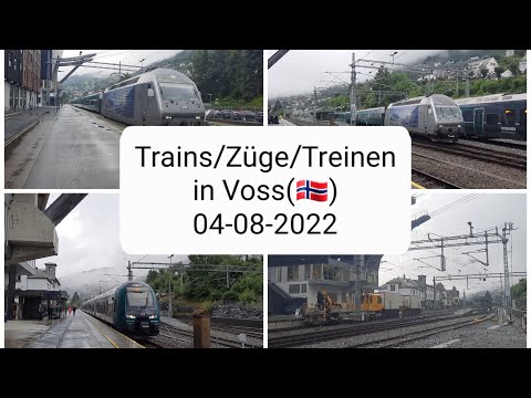 Trains/Züge/Treinen in Voss(Norway) 04-08-2022