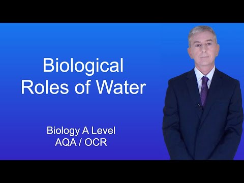 Biology A Level Properties and roles of Water part 2