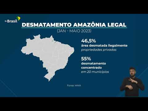 Desmatamento na Amazônia cai de janeiro a maio