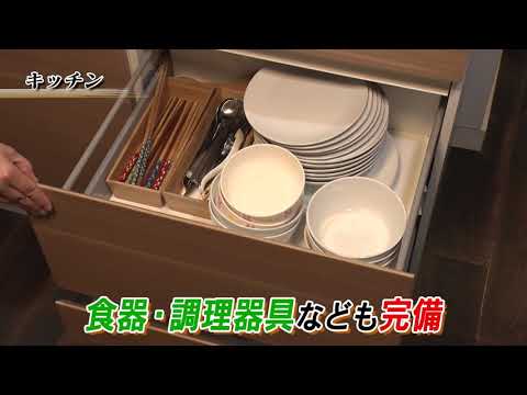 Property video