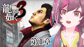 【龍が如く 3 】 第1章　沖縄あああああ！！！　【 Vtuber / 夏音からる】