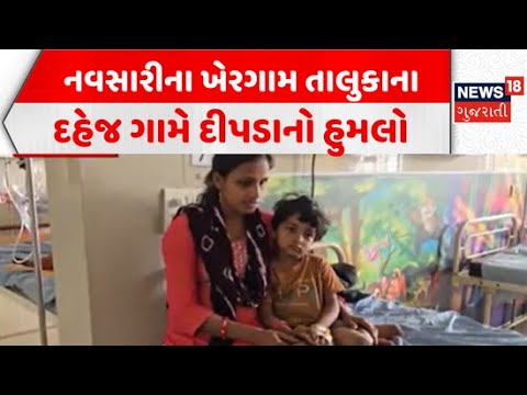 Leopard attack in Navsari | નવસારીના ખેરગામ તાલુકાના દહેજ ગામે દીપડાનો હુમલો | Leopard Terror