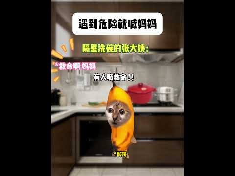 猫の動画サムネイル - 遇到危险就喊妈妈#有趣 #猫meme #猫meme剧场 #猫meme小剧场 #内容过于真实  #故事 #貓 #猫猫meme小剧场 #喵不可言