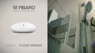 Fibaro Flood Sensor FGFS-101_ZW5
