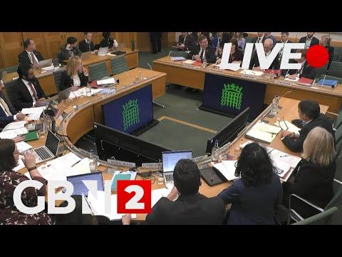 LIVE: Economists answer questions on the Spring Budget at UK parliament's Treasury Committee