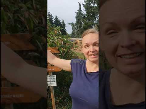 Vídeo fet per l’allotjament