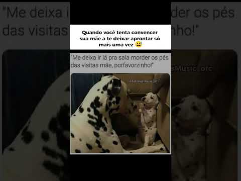 Cachorrinho tenta convencer sua mãe a deixar ele bagunça na casa