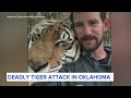 Tiger handler mauled to death at Oklahoma preserve - 01:34 min - News - Video