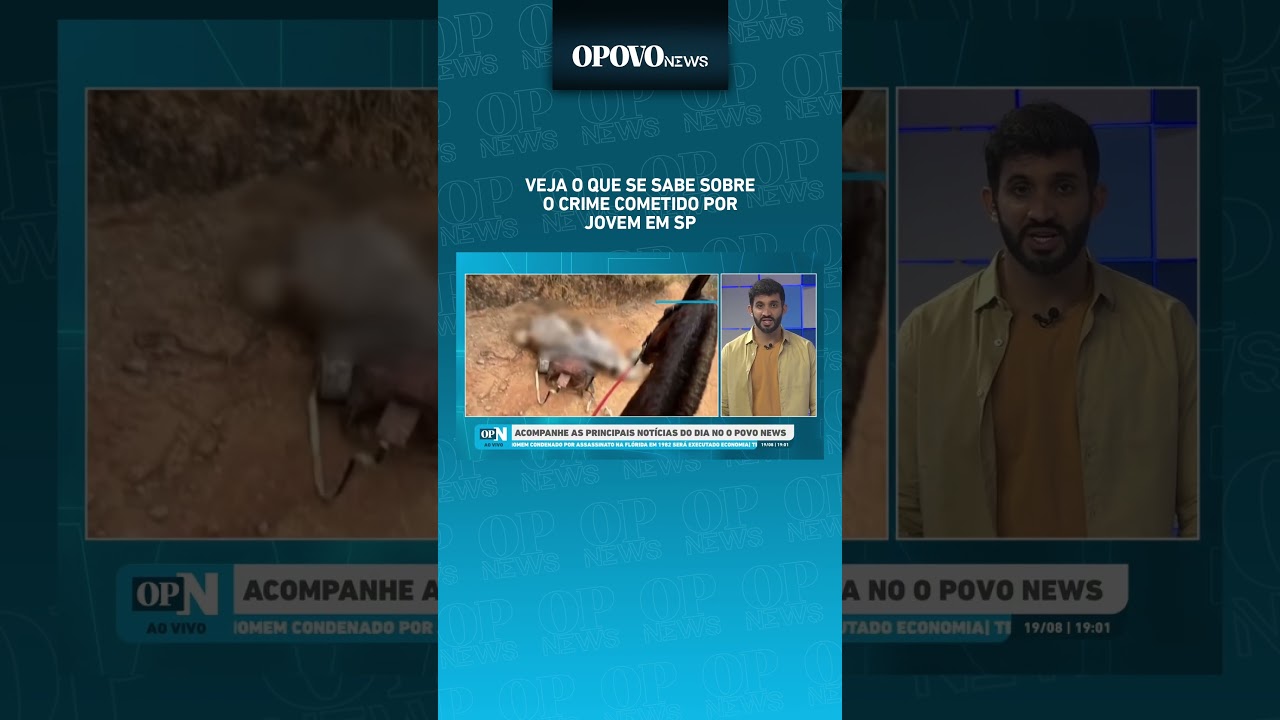 Cavalo Mutilado em SP Veja o que se sabe sobre o crime cometido por jovem