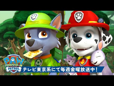 パウ・パトロール | パウ・パトロール：わくわく自然レスキュー特集！🐵 | 120分 | テレビ東京系にて放送中