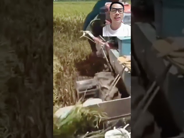 แต่งรถไถนาเดินตาม ให้เป็นรถเกี่ยวข้าว นั่งขับสะดวก รวดเร็ว