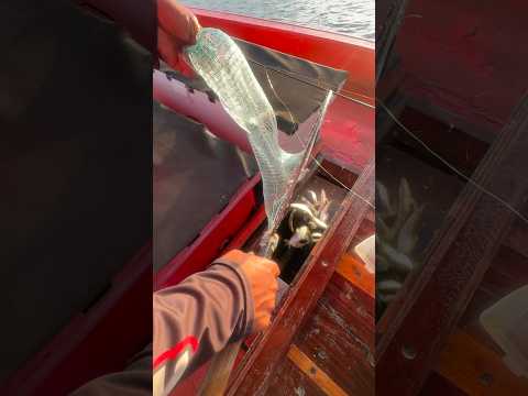 ออกทริปแต่ละครั้ง ก็จะประมาณนี้ #trip #fishing #sea #outdoor #lifestyle