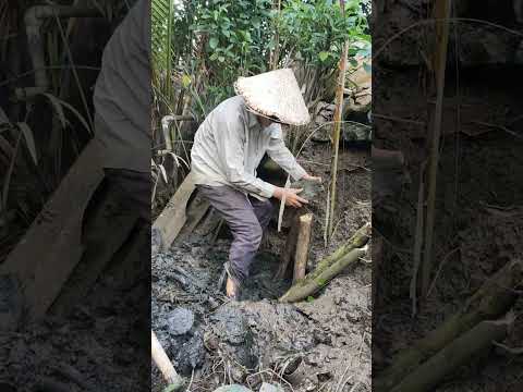 Tự tay xây bờ kè - phần2- giữ lấy mảnh đất quê hương! A wall of earth, a heart of steel my way