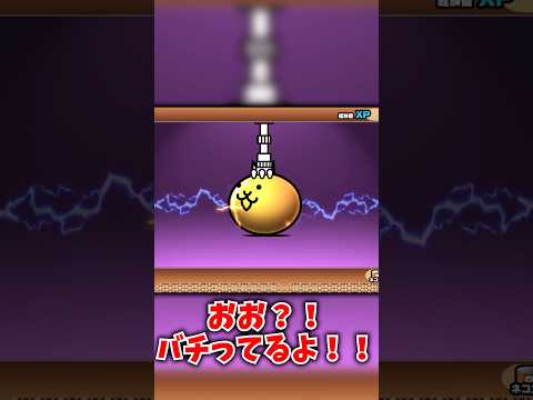 猫の動画サムネイル - 【にゃんこ大戦争】エヴァコラボガチャ引いてみた！#にゃんこ大戦争 #ゆっくり#ガチャ