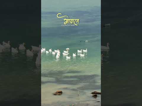 Bhopal you have my heart ❤️