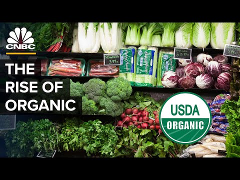 The Truth About Buying Organic Food