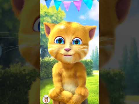 talking ginger 😺#talkingginger #shortsfeed #games