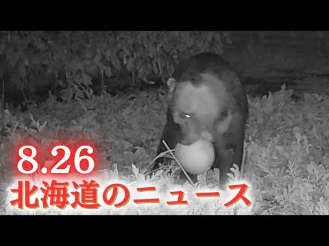 8月26日(火)北海道#夜のニュース
