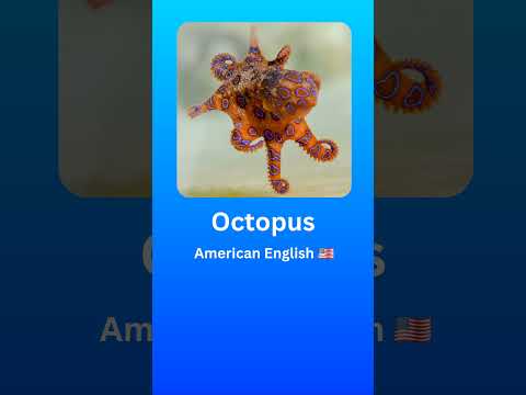 How to Pronounce Octopus (American English 🇺🇲) #2024 #language #english #pronunciation #octopus