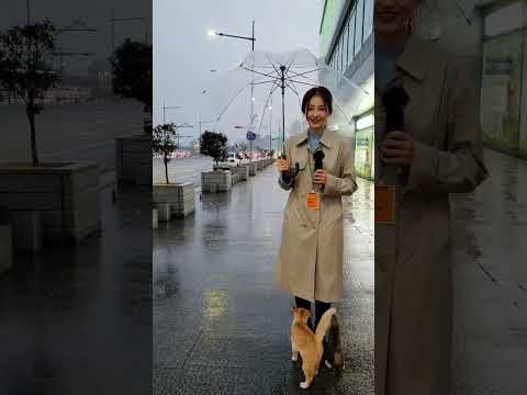 리포터 주변에 몰려든 고양이들!