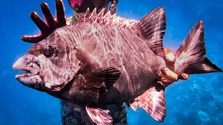 動画サムネイル