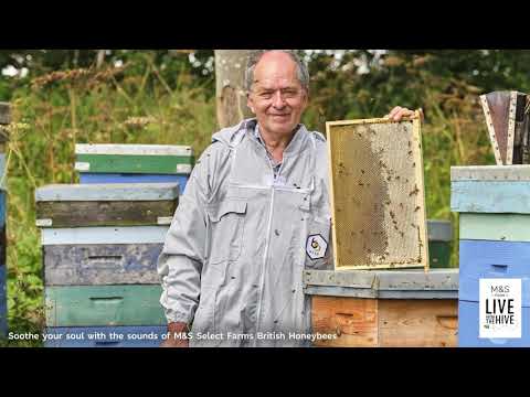 marksandspencer.com & Marks and Spencer Voucher Code video: Live from the Hive Soundtrack | M&S FOOD