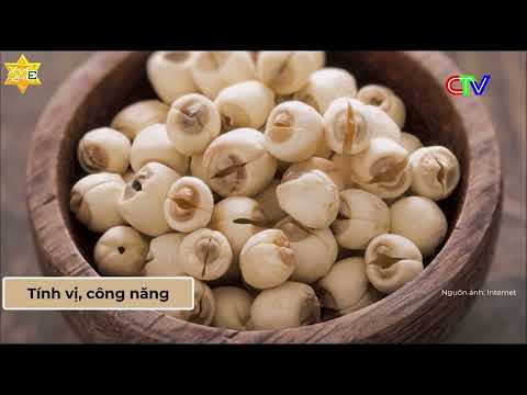 📺 [REPLAY] SỐ PHÁT SÓNG VỚI CHỦ ĐỀ: MỘT SỐ CÂY THUỐC, VỊ THUỐC TĂNG CƯỜNG SINH LÝ NAM