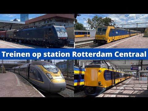 Treinen op station Rotterdam Centraal - 2 juli 2022