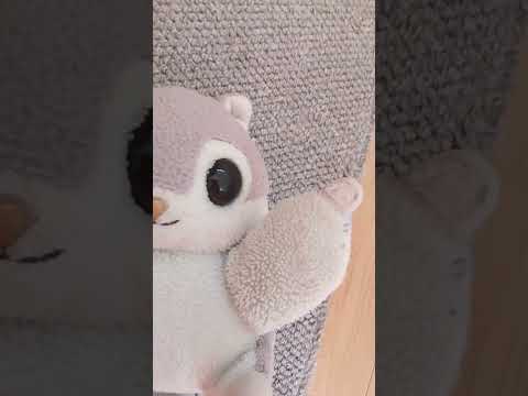 今緊急で動画回してるんですけど#緊急#謎#モモンガ#可愛い