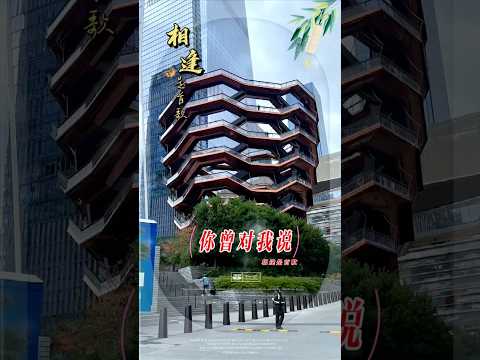纽约曼哈顿看风景.#纽约#关注我持续更新 #热点