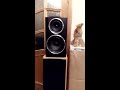 Wharfedale Diamond 121.+Naim Nait5i.