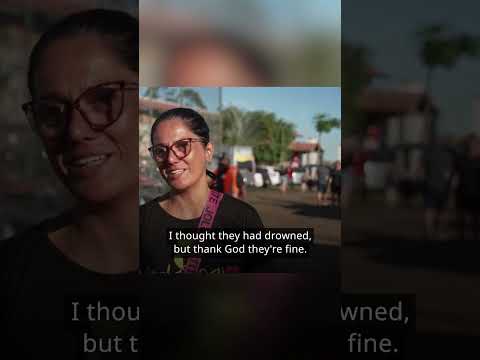 Lost dogs reunite with owners in flood-hit Brazil