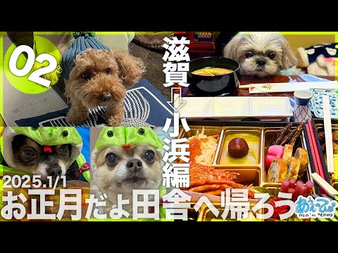 【2025.1/1】お正月だよ田舎へ帰ろう シーズー犬てんぽvol.02