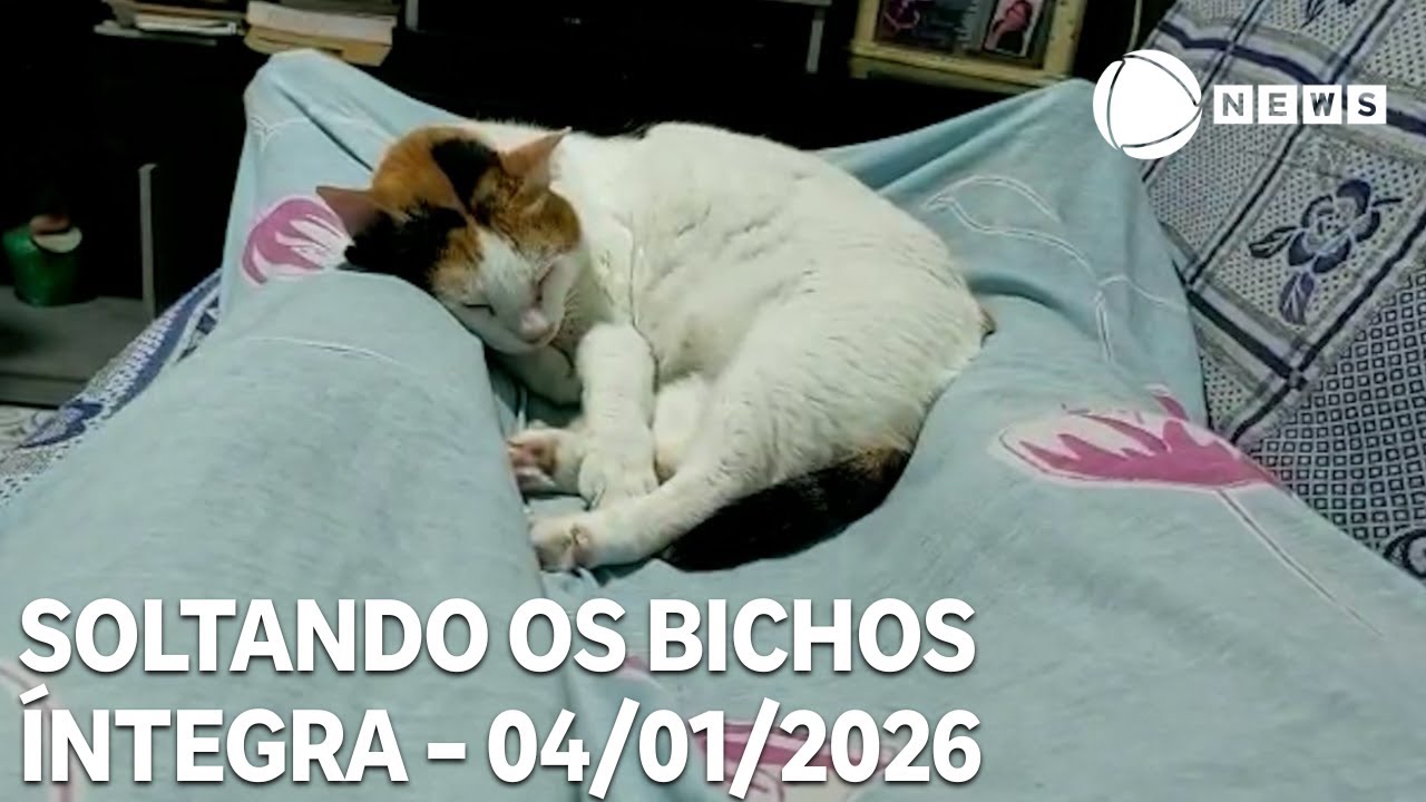 Soltando os Bichos   04012026