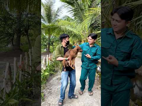 Kêu Ai Vô Nhà Sủa Mà Không Sủa #shorts #trending #haihuoc