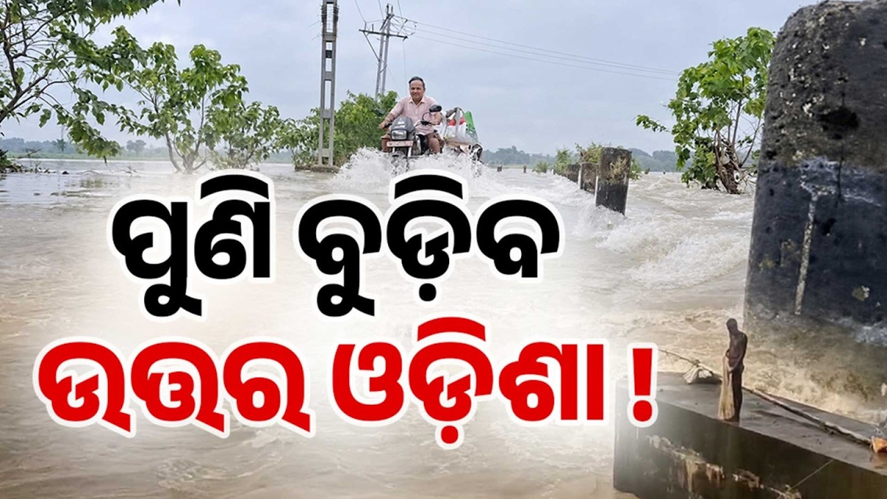 North Odisha Flood Alert | Baitarani, Budhabalanga & Jalaka Rivers Cross Danger Mark | Argus News