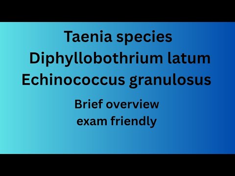 Taenia species, Diphyllobothrium latum and echinococcus granulosus. || Quick overview .