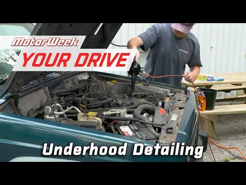 How to Clean Under Your Car's Hood | MotorWeek Your Drive