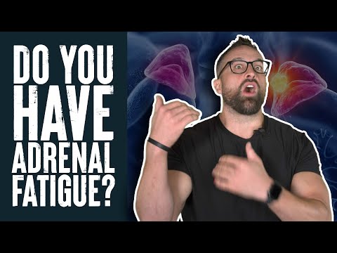 Do You Have Adrenal Fatigue? | Educational Video | Biolayne