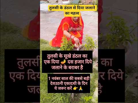 तुलसी के डंठल से दिया जलाने का महत्व #YouTube shorts#YouTube status#trending#viral video#Tulsi#upay