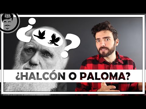 ¿Qué es el juego del halcón paloma? (Teoría de juegos) | Hawk Dove Game