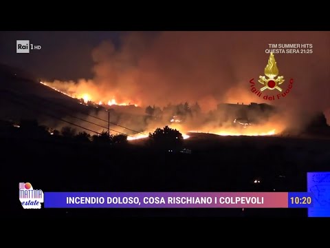 Incendio doloso: cosa rischiano i colpevoli? - Unomattina estate 26/07/2024